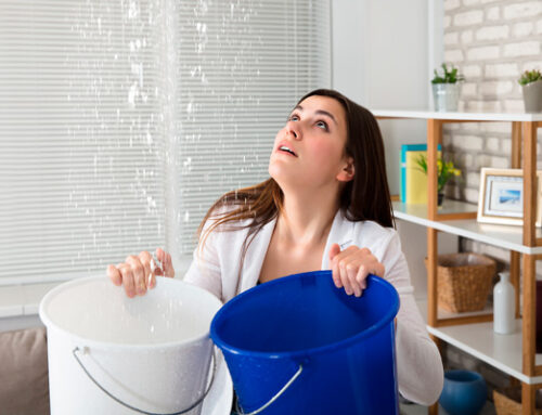 Multirisque habitation